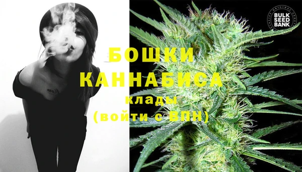 шишки Балабаново