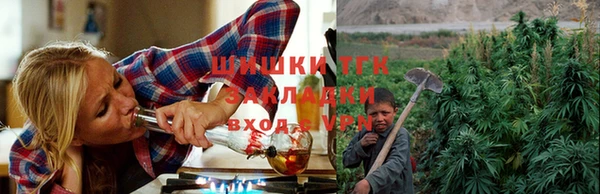 шишки Балабаново