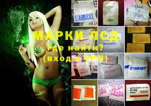 шишки Балабаново