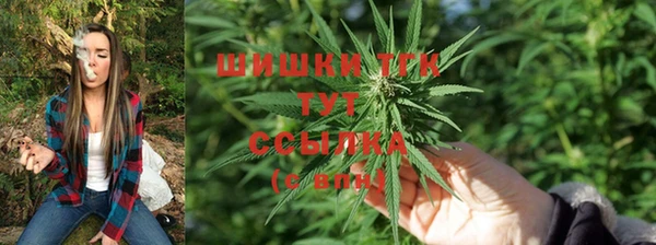 шишки Балабаново