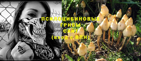 ГАЛЛЮЦИНОГЕННЫЕ ГРИБЫ Беломорск