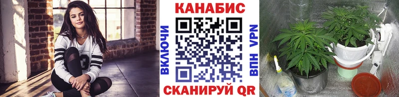 Купить где  Спас-Клепики  Канабис тримм 